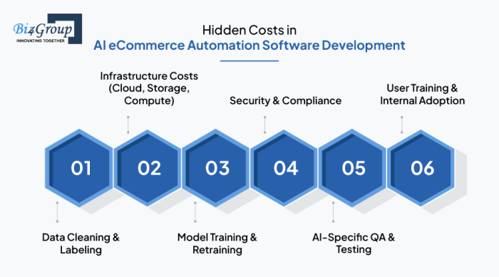 AI eCommerce Automation Software Development Cost